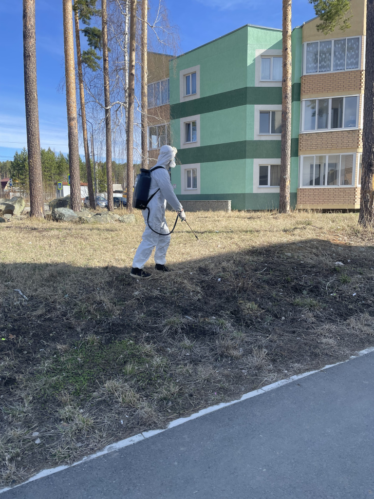 Obrabotka23042025_2.jpg